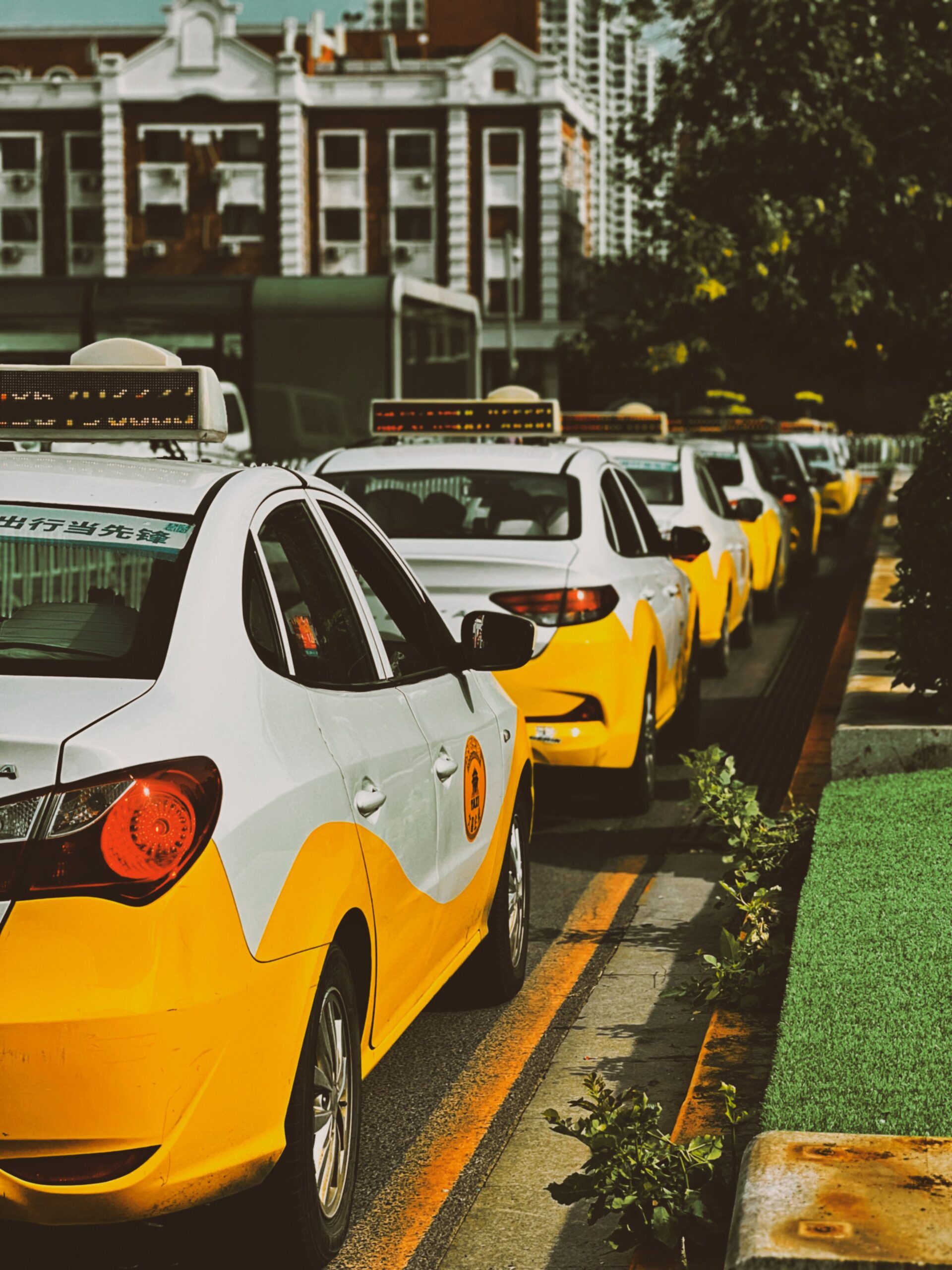 A row of yellow taxi cabs waits on a indore taxi service provider street, providing urban transportation.